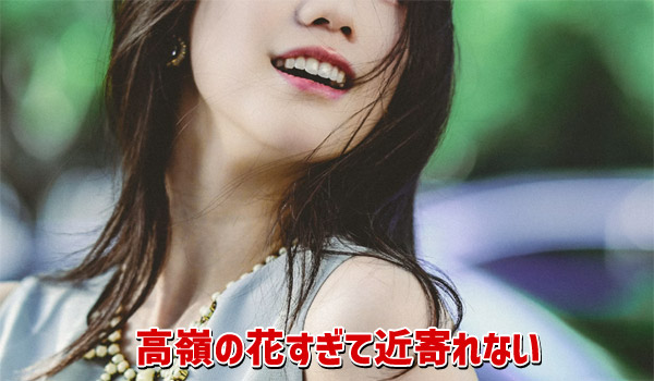 高嶺の花すぎて近寄れない