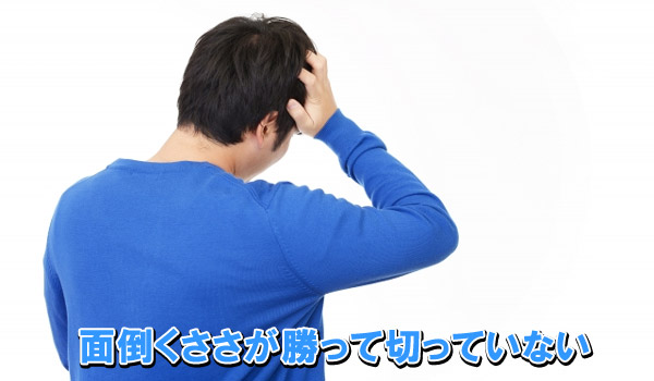 面倒くささが勝って切っていない